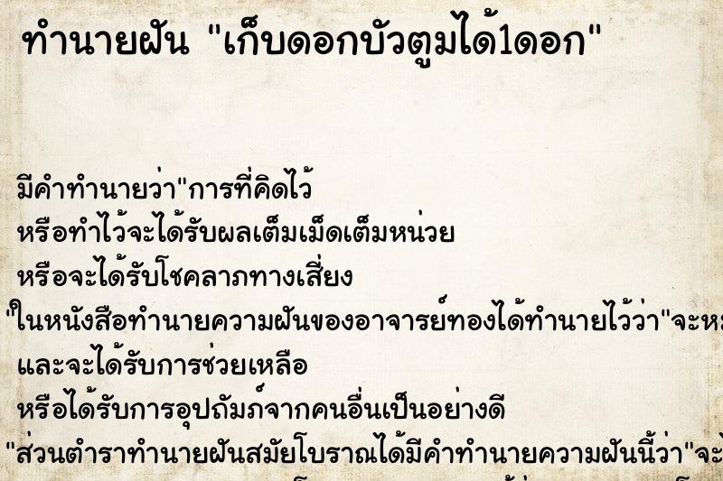 ทำนายฝันเก็บดอกบัวตูมได้1ดอก ทำนายฝันทำนายฝันเก็บดอกบัวตูมได้1ดอก