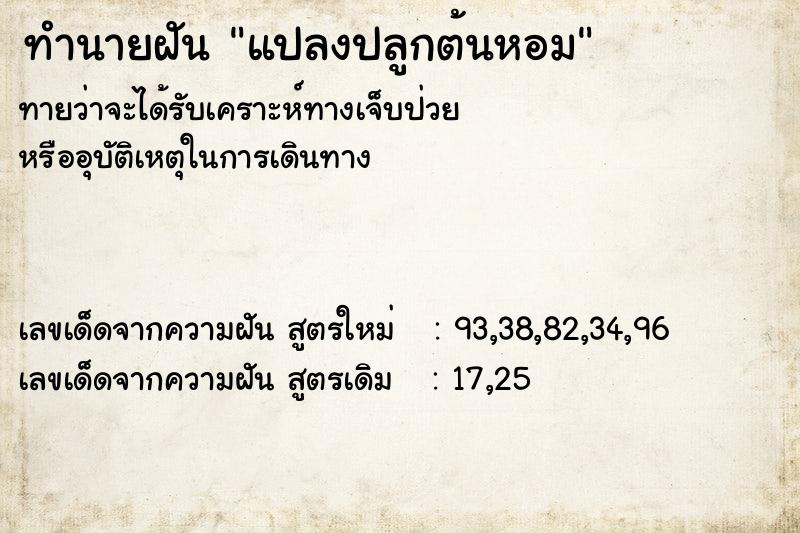ทำนายฝันทำนายฝันแปลงปลูกต้นหอม