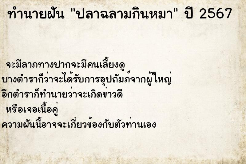 ทำนายฝันทำนายฝันปลาฉลามกินหมา