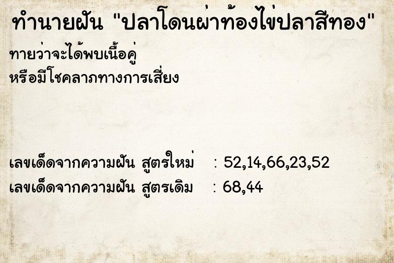 ทำนายฝันทำนายฝันปลาโดนผ่าท้องไข่ปลาสีทอง
