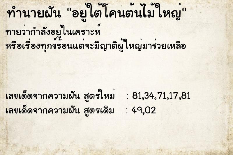 ทำนายฝันทำนายฝันอยู่ใต้โคนต้นไม้ใหญ่