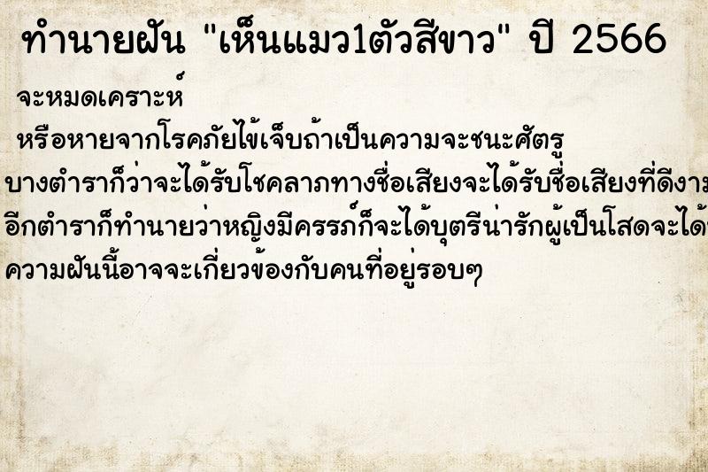 ทำนายฝันทำนายฝันเห็นแมว1ตัวสีขาว