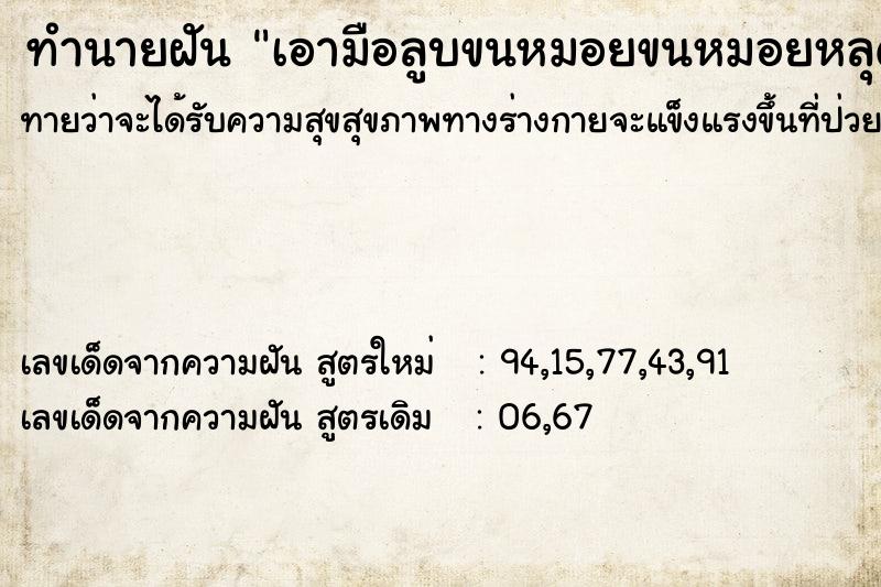 ทำนายฝันเอามือลูบขนหมอยขนหมอยหลุดติดมือเยอะมาก ทำนายฝันทำนายฝันเอามือลูบขนหมอยขนหมอยหลุดติดมือเยอะมาก