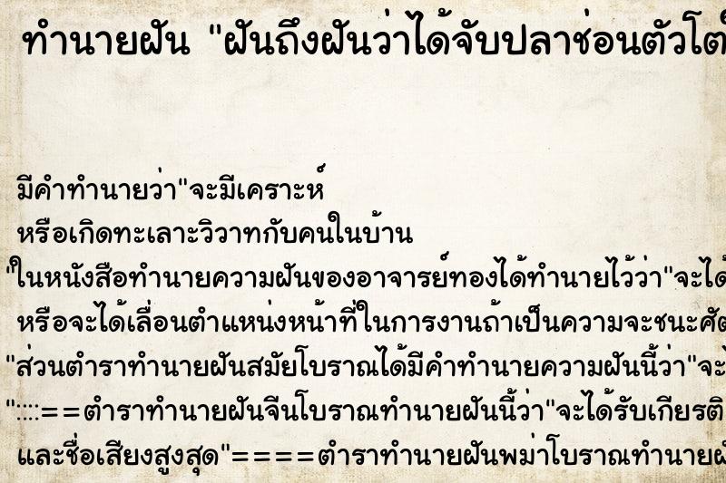 ทำนายฝันฝันถึงฝันว่าได้จับปลาช่อนตัวโตในหนองน้ำในที่นา ทำนายฝันทำนายฝันฝันถึงฝันว่าได้จับปลาช่อนตัวโตในหนองน้ำในที่นา