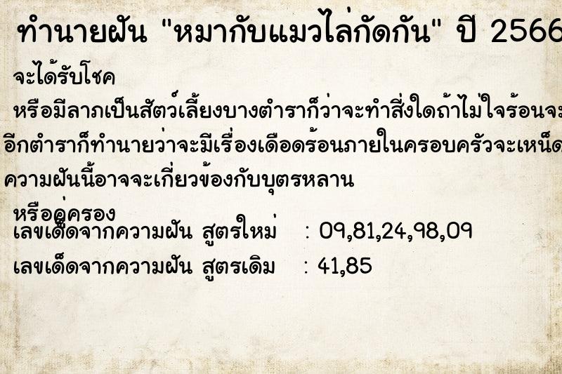 ทำนายฝัน หมากับแมวไล่กัดกัน ทำนายฝัน หมากับแมวไล่กัดกัน