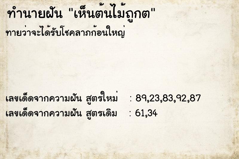 ทำนายฝันทำนายฝันเห็นต้นไม้ถูกต