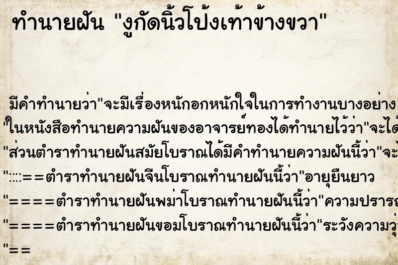 ทำนายฝันงูกัดนิ้วโป้งเท้าข้างขวา ทำนายฝันทำนายฝันงูกัดนิ้วโป้งเท้าข้างขวา