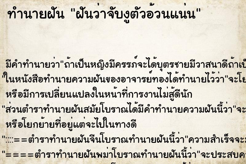 ทำนายฝันฝันว่าจับงูตัวอ้วนแน่น ทำนายฝันทำนายฝันฝันว่าจับงูตัวอ้วนแน่น