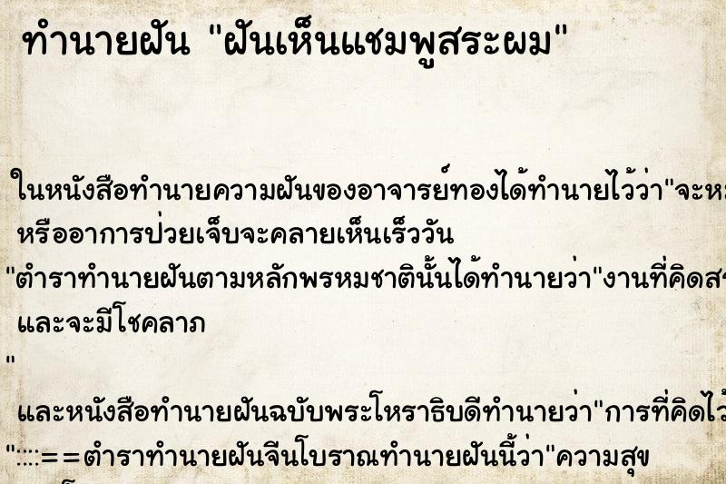 ทำนายฝันฝันเห็นแชมพูสระผม ทำนายฝันทำนายฝันฝันเห็นแชมพูสระผม