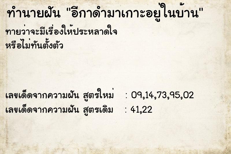 ทำนายฝันอีกาดำมาเกาะอยู่ในบ้าน ทำนายฝันทำนายฝันอีกาดำมาเกาะอยู่ในบ้าน