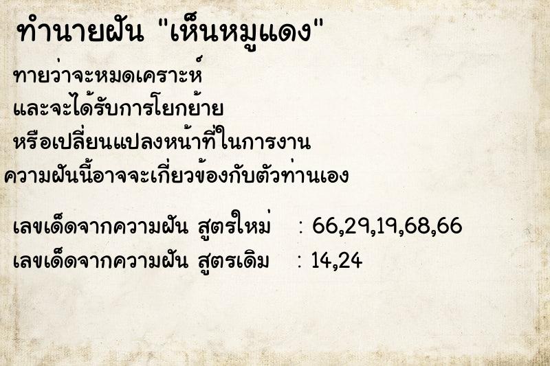 ทำนายฝันทำนายฝันเห็นหมูแดง