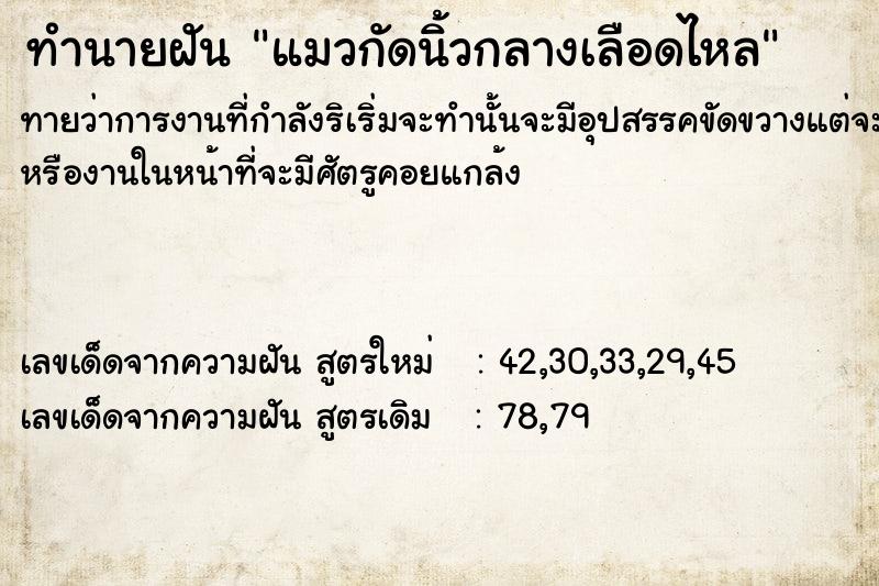 ทำนายฝันแมวกัดนิ้วกลางเลือดไหล ทำนายฝันทำนายฝันแมวกัดนิ้วกลางเลือดไหล
