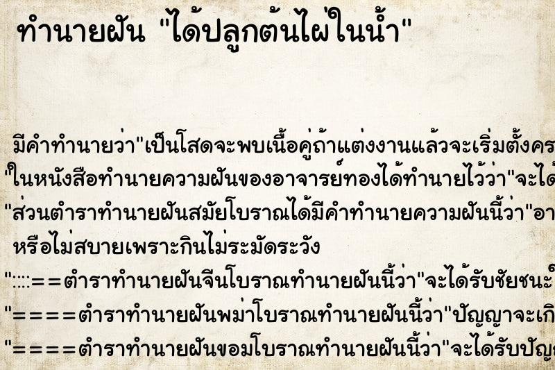 ทำนายฝันทำนายฝันได้ปลูกต้นไผ่ในน้ำ