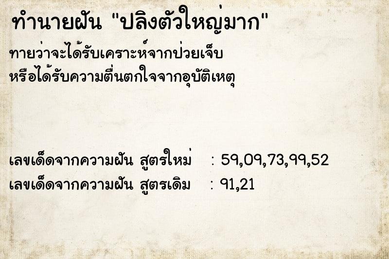 ทำนายฝันทำนายฝันปลิงตัวใหญ่มาก