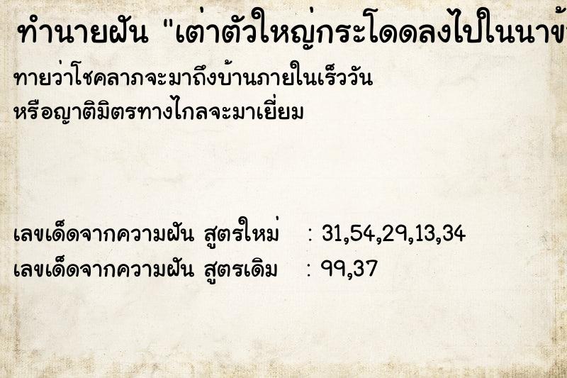 ทำนายฝันเต่าตัวใหญ่กระโดดลงไปในนาข้าวที่มีน้ำขังอยู่ ทำนายฝันทำนายฝันเต่าตัวใหญ่กระโดดลงไปในนาข้าวที่มีน้ำขังอยู่