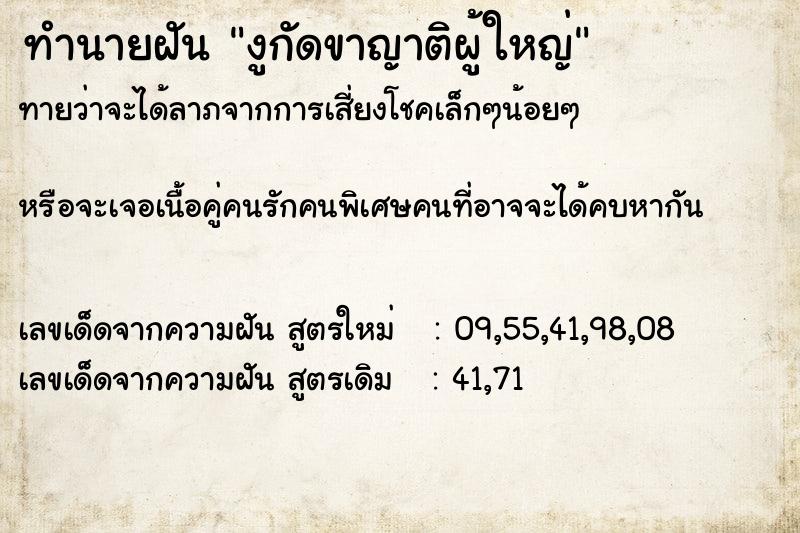 ทำนายฝันงูกัดขาญาติผู้ใหญ่ ทำนายฝันทำนายฝันงูกัดขาญาติผู้ใหญ่