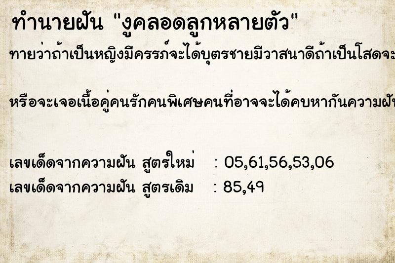 ทำนายฝันงูคลอดลูกหลายตัว ทำนายฝันทำนายฝันงูคลอดลูกหลายตัว