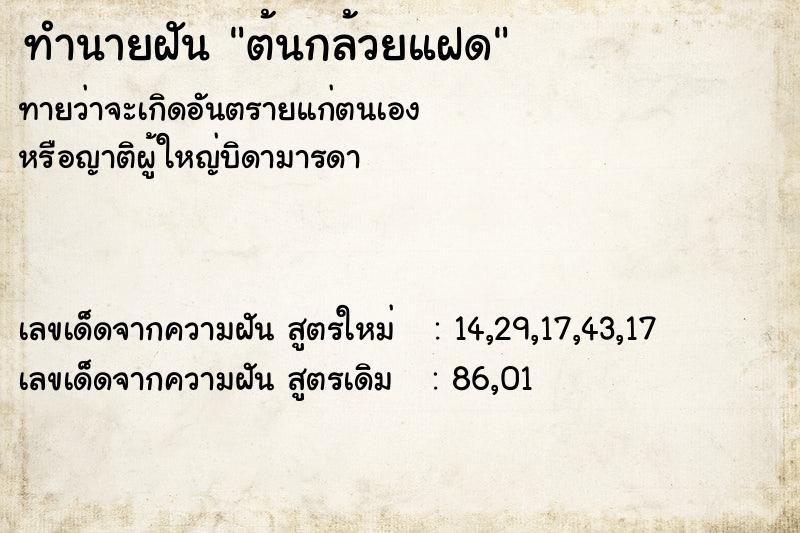 ทำนายฝันทำนายฝันต้นกล้วยแฝด