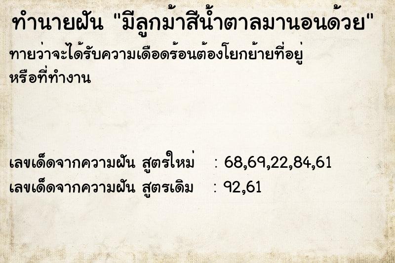 ทำนายฝันมีลูกม้าสีน้ำตาลมานอนด้วย ทำนายฝันทำนายฝันมีลูกม้าสีน้ำตาลมานอนด้วย