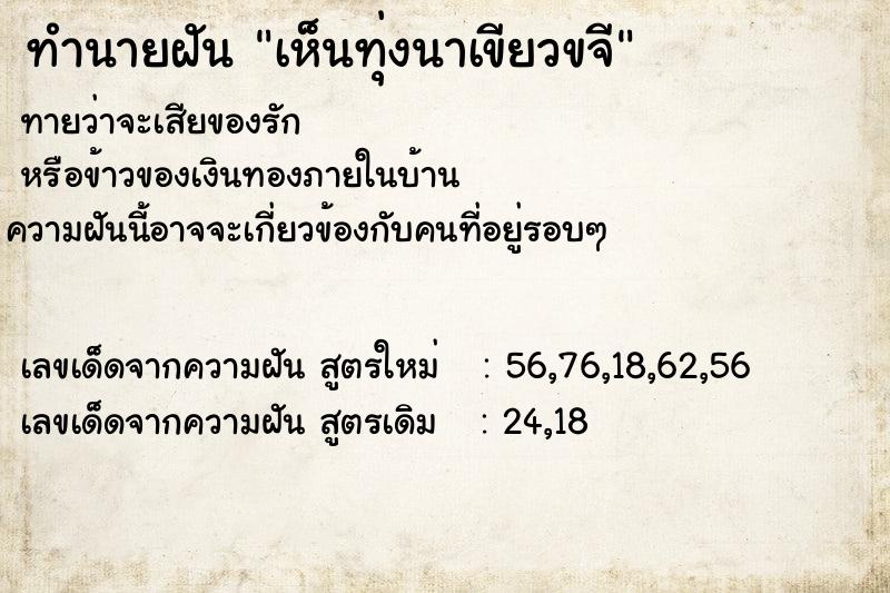 ทำนายฝันทำนายฝันเห็นทุ่งนาเขียวขจี