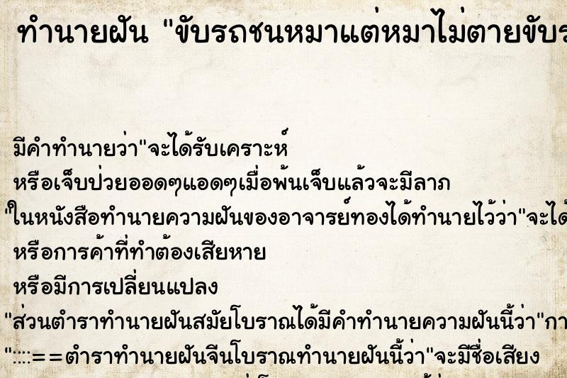 ทำนายฝันทำนายฝันขับรถชนหมาแต่หมาไม่ตายขับรถชนหมาแต่หมาไม่ตายวัน