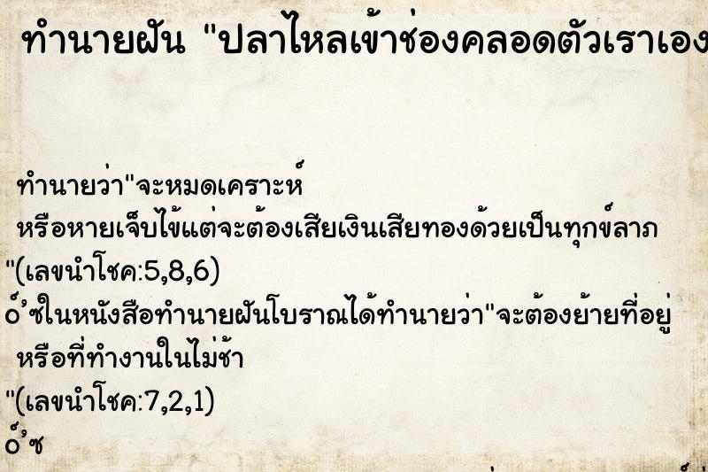 ทำนายฝัน ปลาไหลเข้าช่องคลอดตัวเราเองแล้วเราได้ดึงมันออกมา ทำนายฝัน ปลาไหลเข้าช่องคลอดตัวเราเองแล้วเราได้ดึงมันออกมา