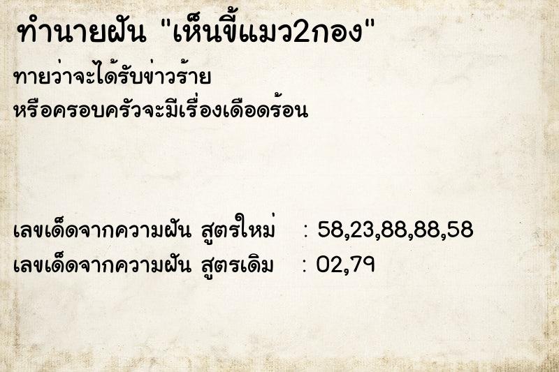 ทำนายฝันเห็นขี้แมว2กอง ทำนายฝันทำนายฝันเห็นขี้แมว2กอง