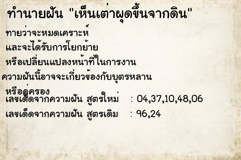 ทำนายฝันทำนายฝันเห็นเต่าผุดขึ้นจากดิน