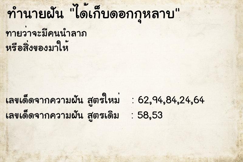 ทำนายฝันทำนายฝันได้เก็บดอกกุหลาบ