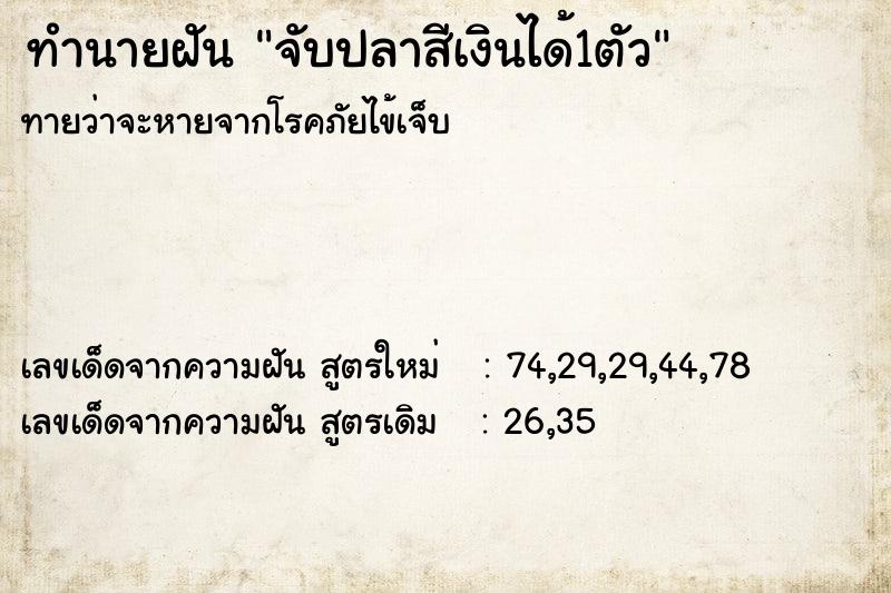 ทำนายฝันทำนายฝันจับปลาสีเงินได้1ตัว