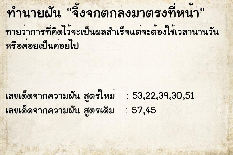 ทำนายฝัน จิ้งจกตกลงมาตรงที่หน้า ทำนายฝัน จิ้งจกตกลงมาตรงที่หน้า
