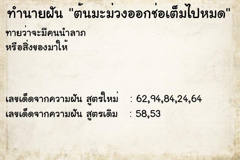 ทำนายฝันต้นมะม่วงออกช่อเต็มไปหมด ทำนายฝันทำนายฝันต้นมะม่วงออกช่อเต็มไปหมด