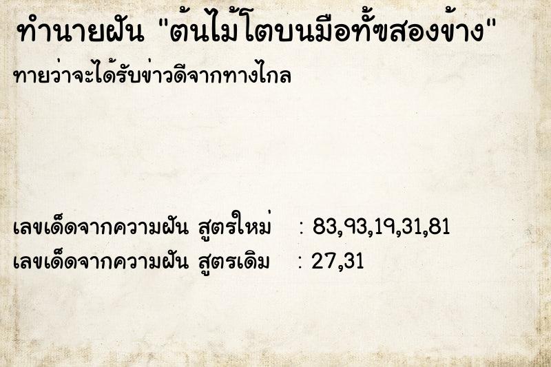 ทำนายฝัน ต้นไม้โตบนมือทั้ฃสองข้าง ทำนายฝัน ต้นไม้โตบนมือทั้ฃสองข้าง