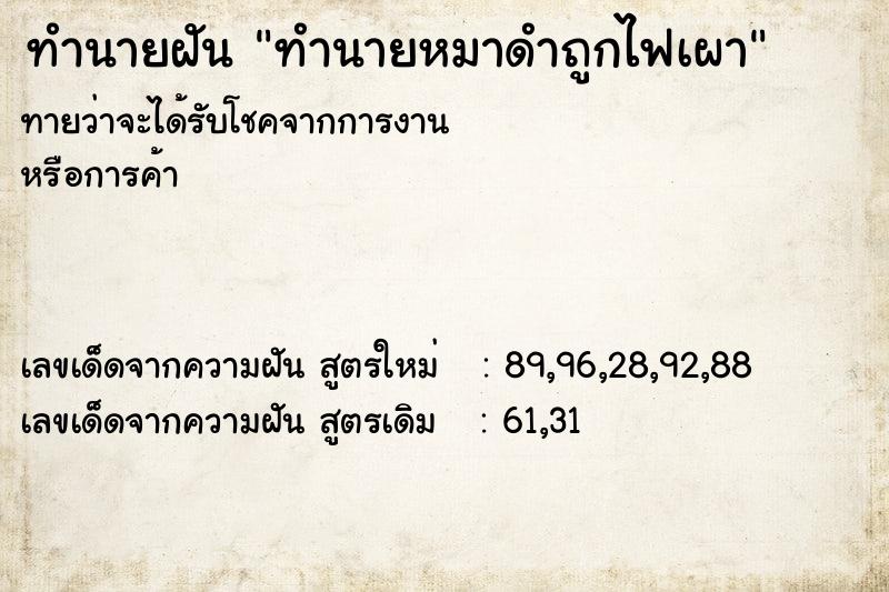 ทำนายฝันทำนายหมาดำถูกไฟเผา ทำนายฝันทำนายฝันทำนายหมาดำถูกไฟเผา