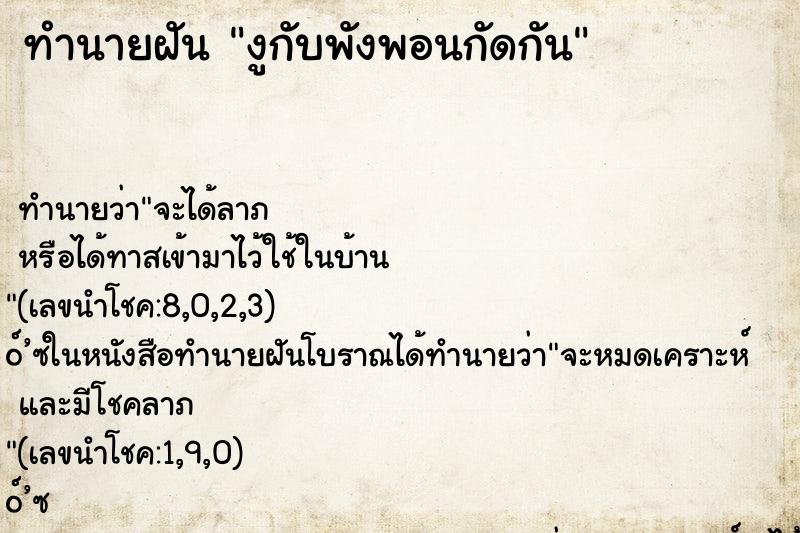 ทำนายฝัน งูกับพังพอนกัดกัน ตำราโบราณ แม่นที่สุดในโลก