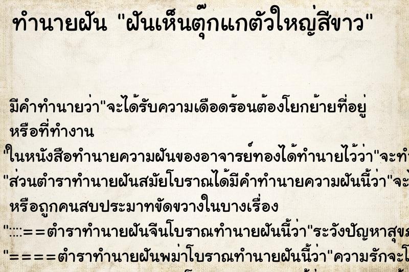 ทำนายฝันฝันเห็นตุ๊กแกตัวใหญ่สีขาว ทำนายฝันทำนายฝันฝันเห็นตุ๊กแกตัวใหญ่สีขาว