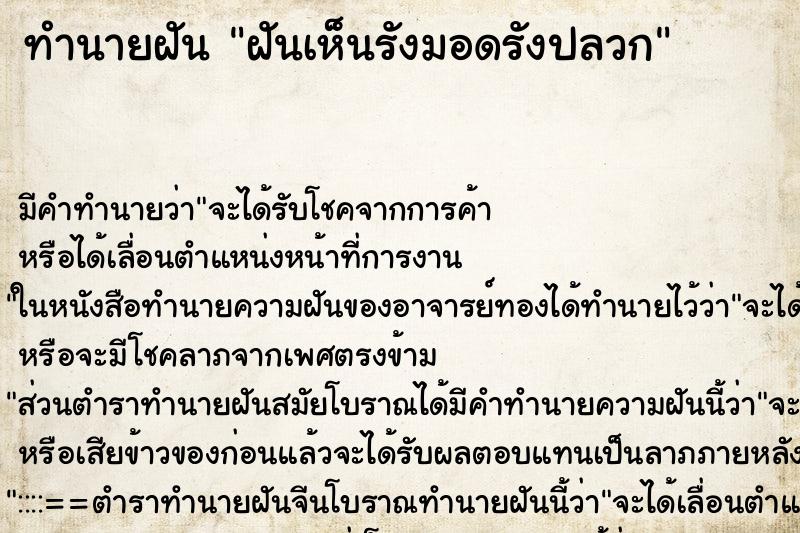 ทำนายฝัน ฝันเห็นรังมอดรังปลวก ทำนายฝัน ฝันเห็นรังมอดรังปลวก