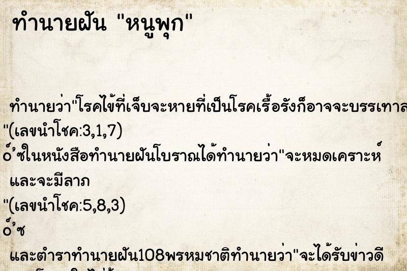 ทำนายฝันหนูพุก ทำนายฝันทำนายฝันหนูพุก