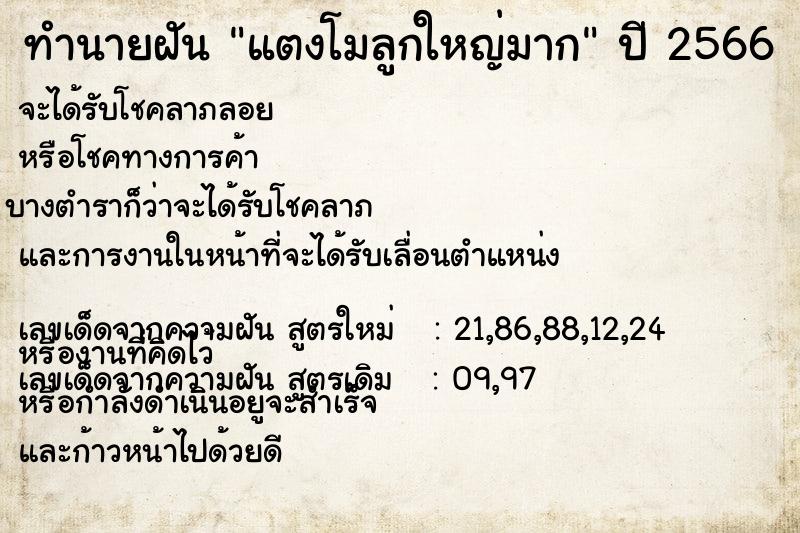 ทำนายฝัน แตงโมลูกใหญ่มาก