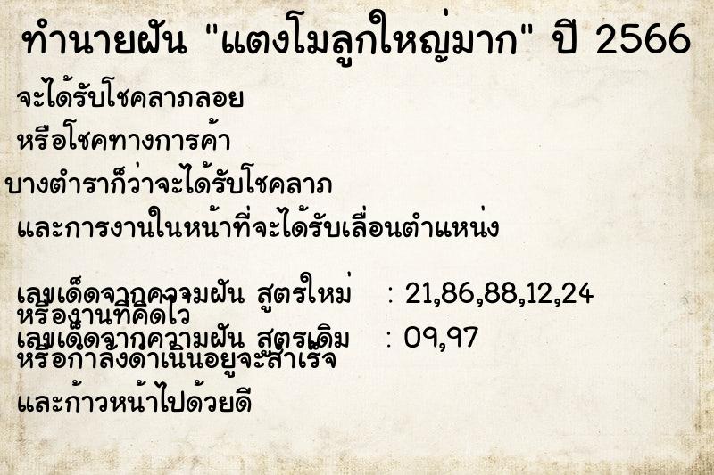 ทำนายฝัน แตงโมลูกใหญ่มาก ตำราโบราณ แม่นที่สุดในโลก