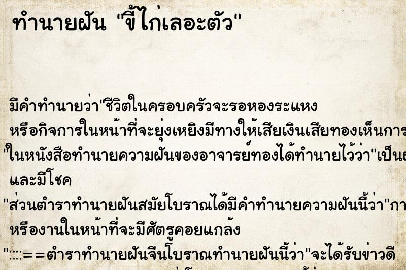 ทำนายฝันทำนายฝันขี้ไก่เลอะตัว