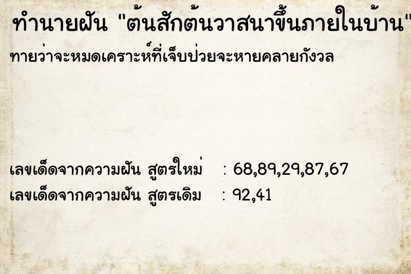 ทำนายฝันทำนายฝันต้นสักต้นวาสนาขึ้นภายในบ้าน