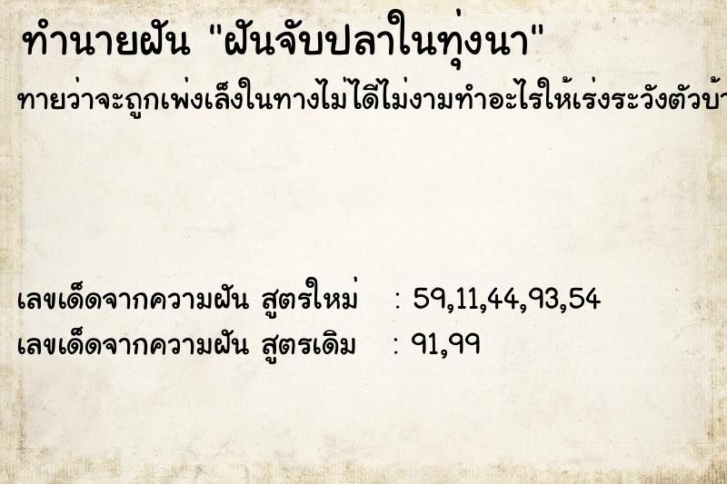 ทำนายฝัน ฝันจับปลาในทุ่งนา ทำนายฝัน ฝันจับปลาในทุ่งนา