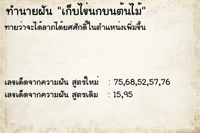 ทำนายฝันทำนายฝันเก็บไข่นกบนต้นไม้