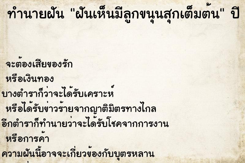 ทำนายฝันฝันเห็นมีลูกขนุนสุกเต็มต้น ทำนายฝันทำนายฝันฝันเห็นมีลูกขนุนสุกเต็มต้น