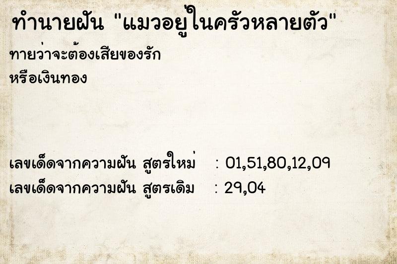 ทำนายฝันแมวอยู่ในครัวหลายตัว ทำนายฝันทำนายฝันแมวอยู่ในครัวหลายตัว