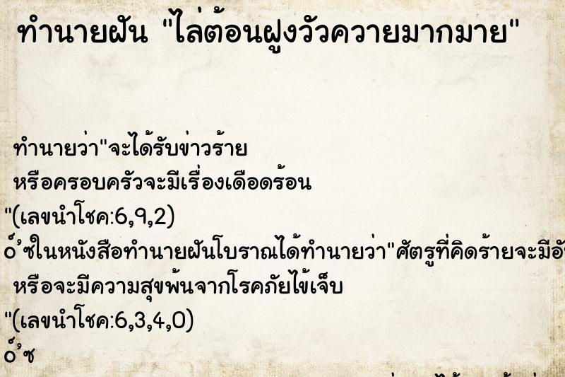 ทำนายฝันทำนายฝันไล่ต้อนฝูงวัวควายมากมาย