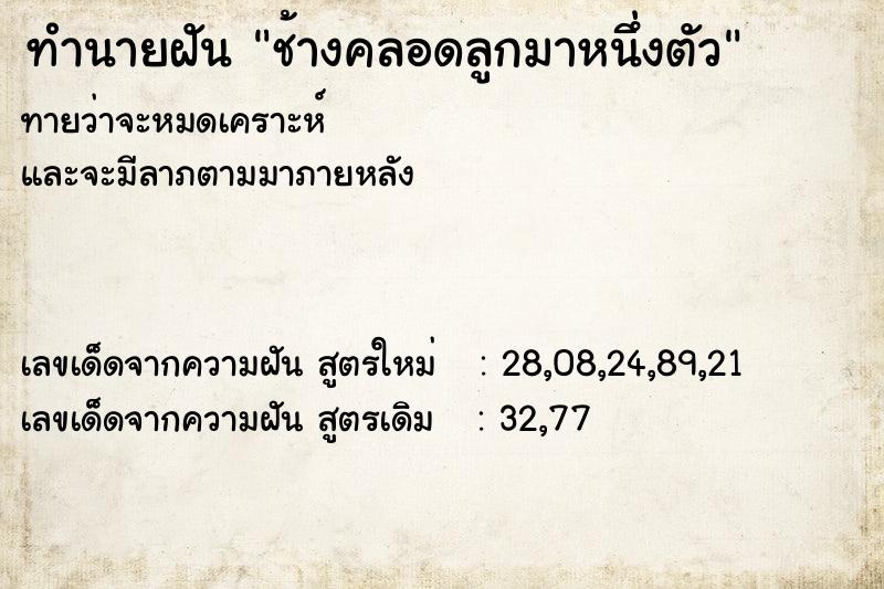 ทำนายฝันทำนายฝันช้างคลอดลูกมาหนึ่งตัว