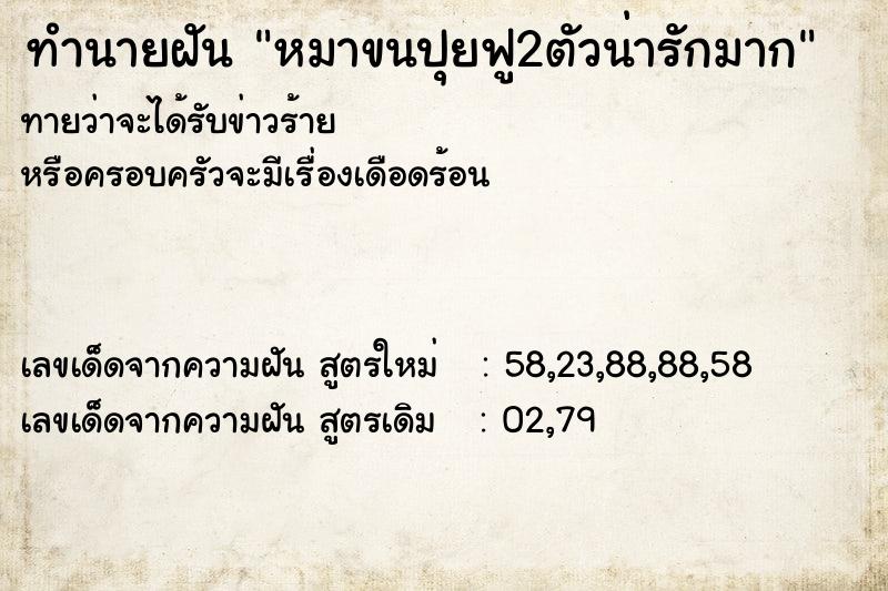 ทำนายฝันทำนายฝันหมาขนปุยฟู2ตัวน่ารักมาก