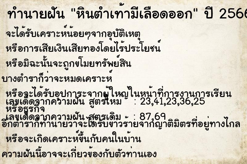 ทำนายฝันหินตำเท้ามีเลือดออก ทำนายฝันทำนายฝันหินตำเท้ามีเลือดออก